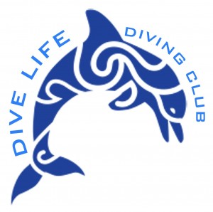 Logo-Dive Life divng Club